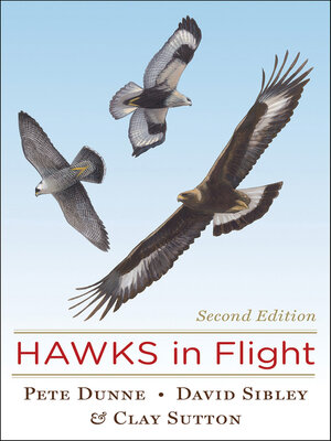 cover image of Hawks In Flight